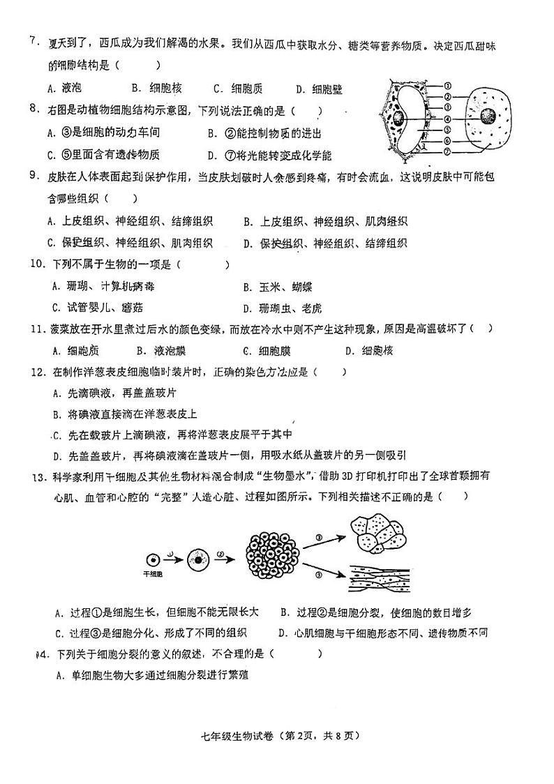 广东省东莞市塘厦初级中学2024-2025学年七年级上学期期中考试生物试卷02