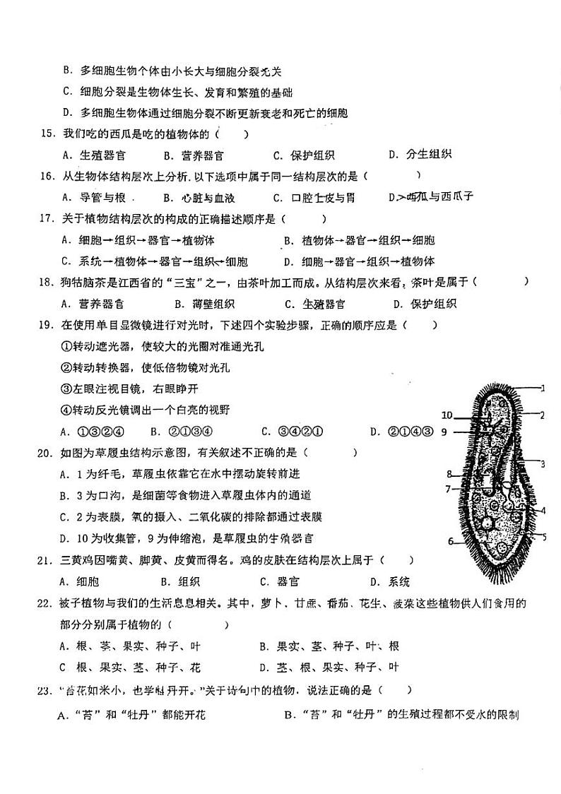 广东省东莞市塘厦初级中学2024-2025学年七年级上学期期中考试生物试卷03