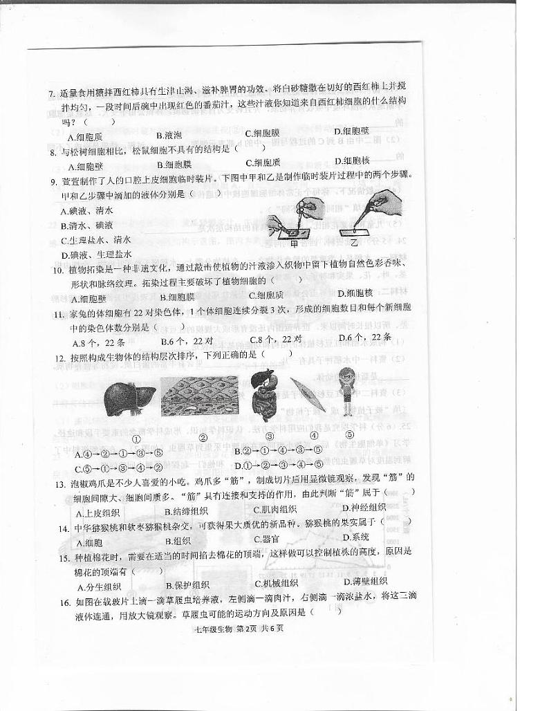 驻马店市上蔡县2024-2025学年11月七年级生物上册素质测试试卷（真题附答案）第2页