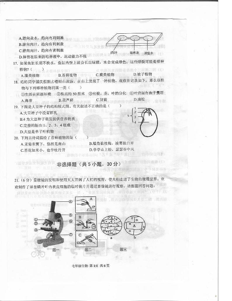 驻马店市上蔡县2024-2025学年11月七年级生物上册素质测试试卷（真题附答案）第3页