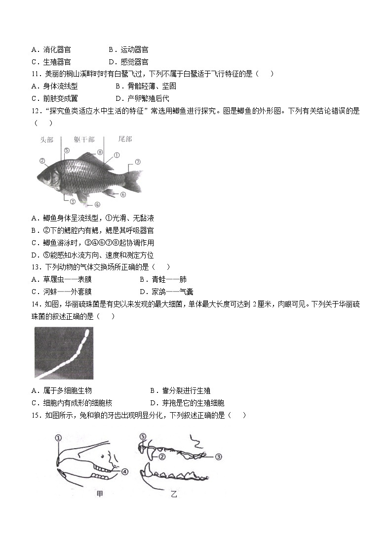 福建省宁德市福鼎市2024-2025学年八年级上学期期中生物学试题第3页