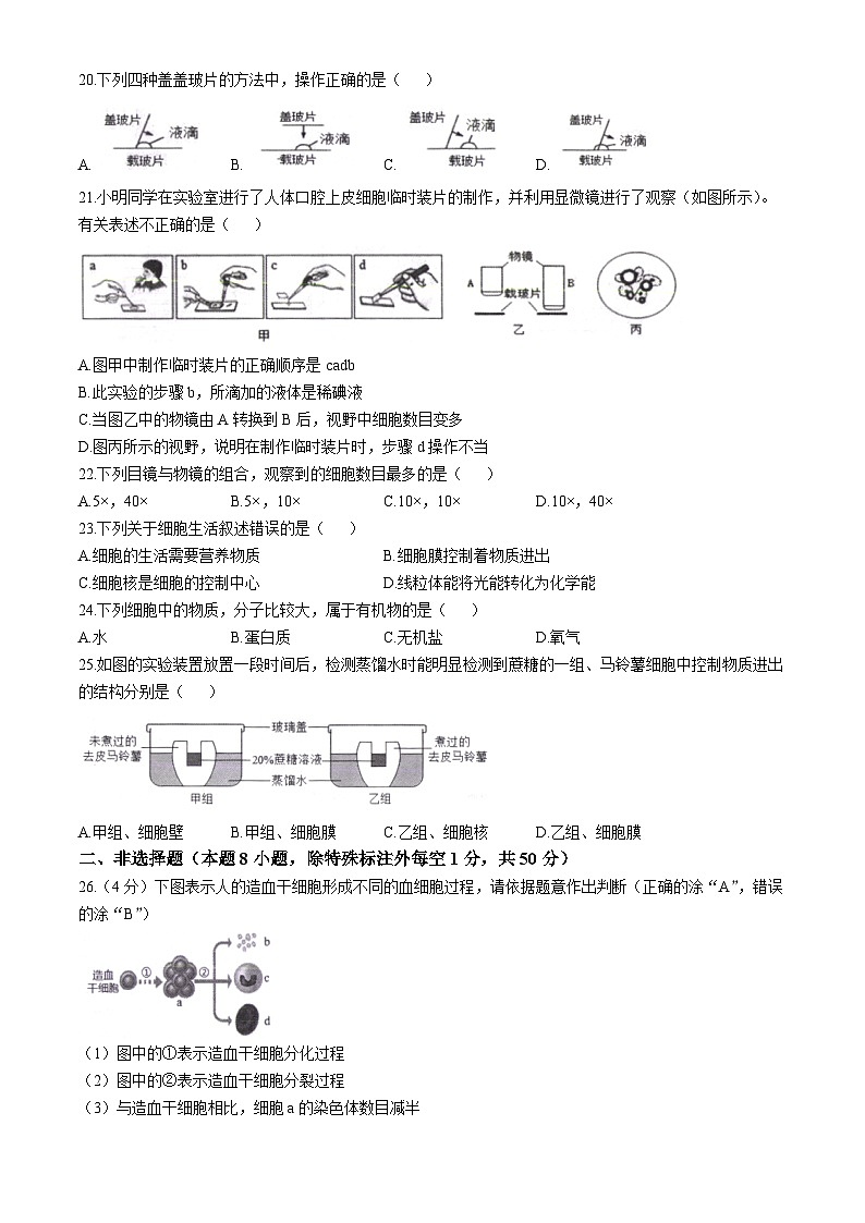 福建省宁德市福鼎市2024-2025学年七年级上学期期中生物学试题第3页