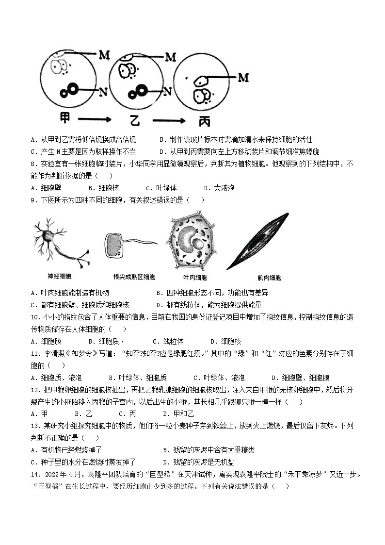 四川省宜宾市长宁县2024-2025学年七年级上学期期中生物学试题(无答案)02
