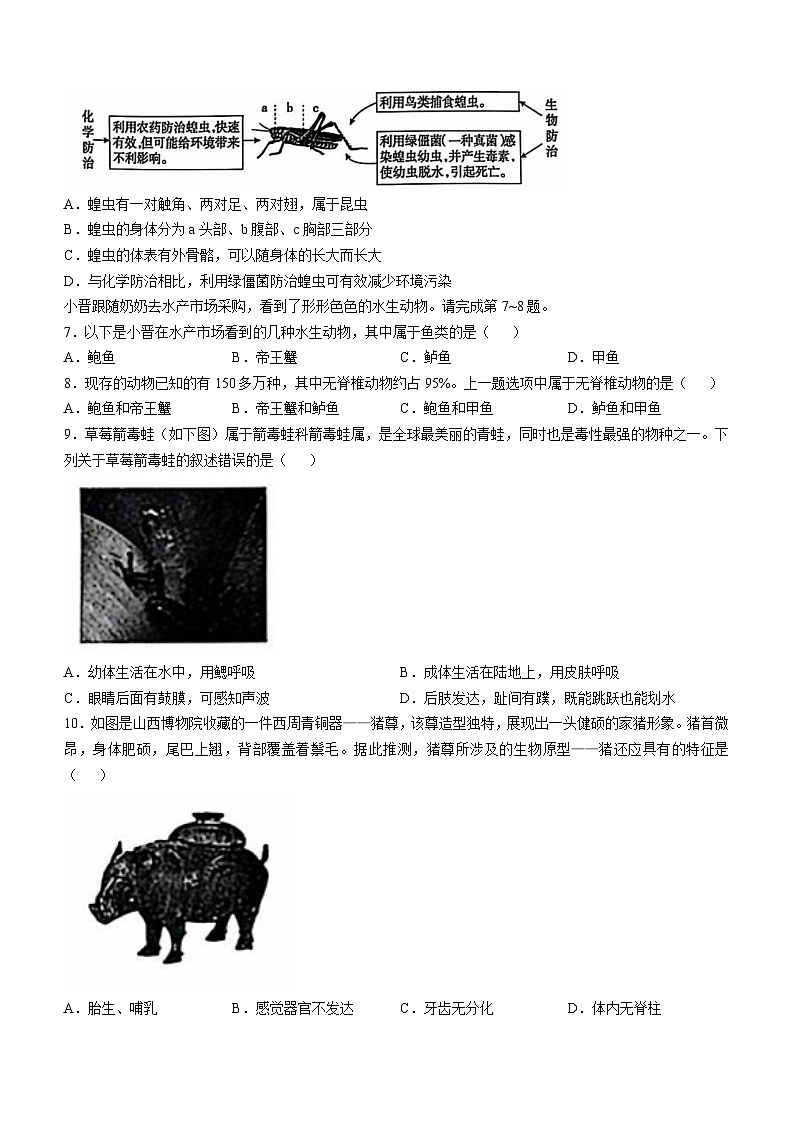 山西省晋中市寿阳县2024-2025学年八年级上学期期中生物学试题(无答案)第2页