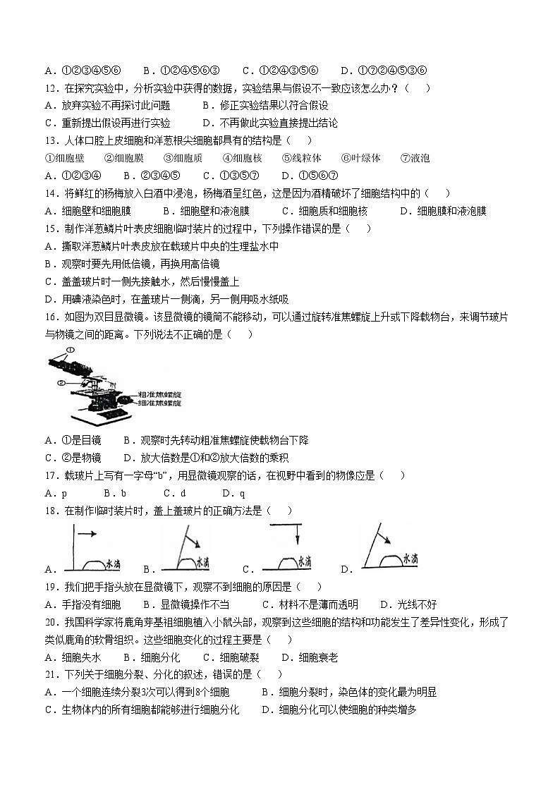 福建省龙岩市长汀县2024-2025学年七年级上学期期中生物学试题第2页