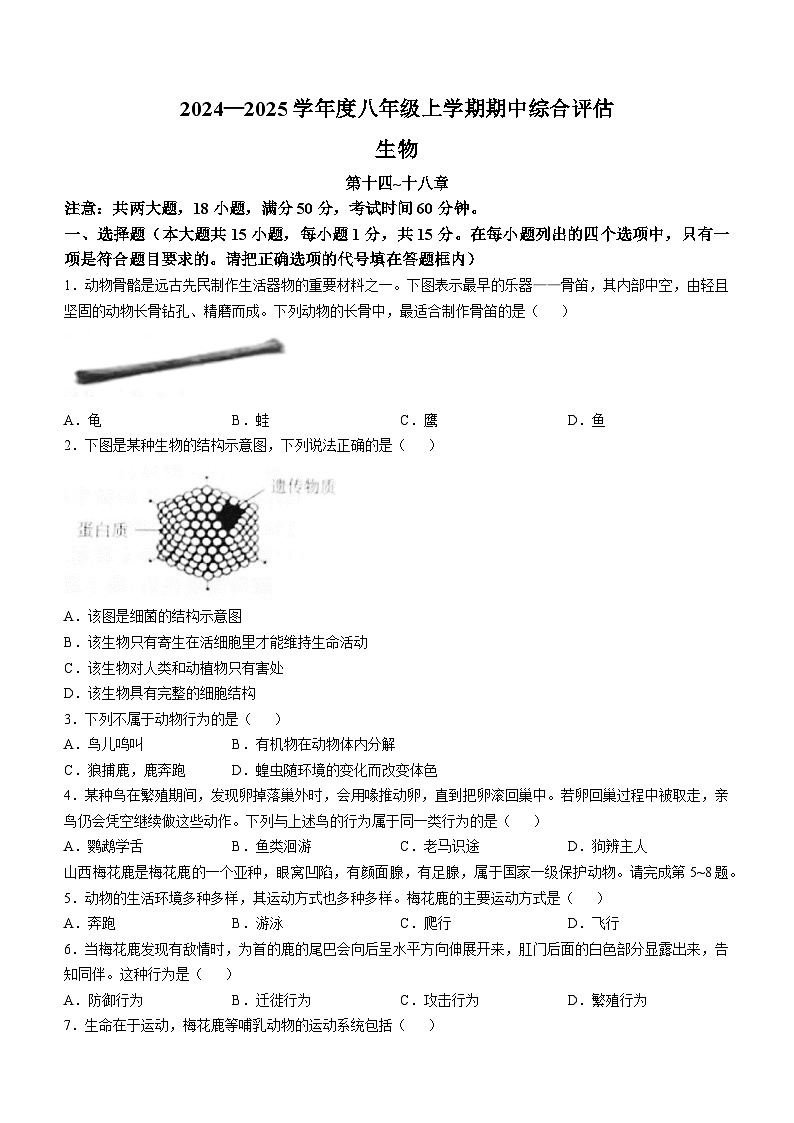 山西省运城市盐湖二中、运城市盐湖三中2024-2025学年八年级上学期期中生物试题(无答案)第1页