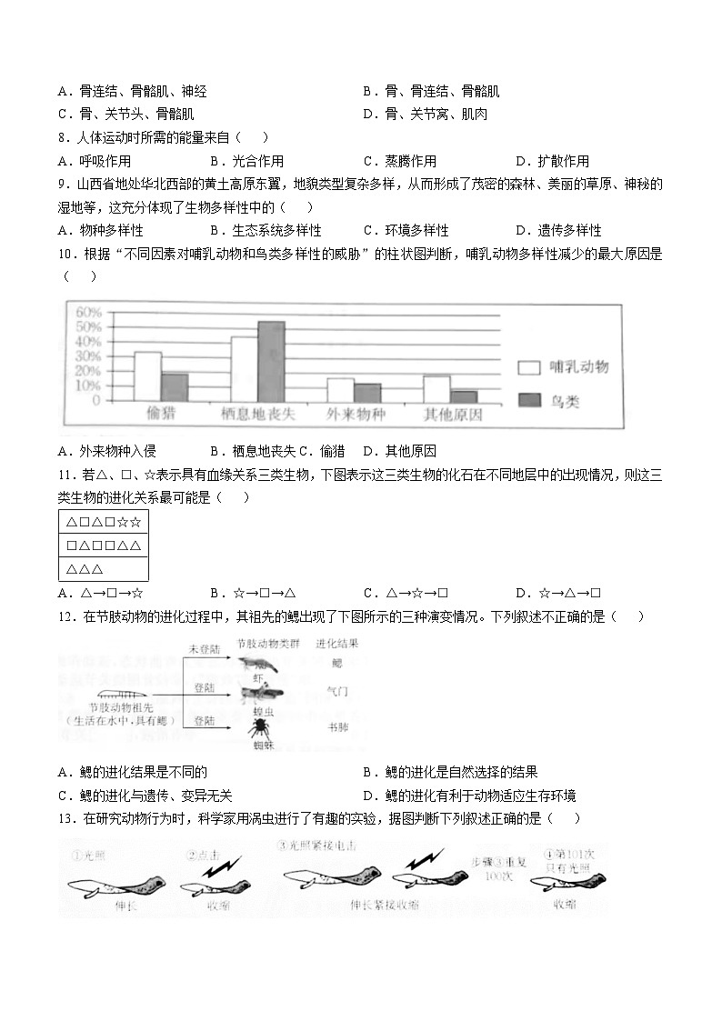 山西省运城市盐湖二中、运城市盐湖三中2024-2025学年八年级上学期期中生物试题(无答案)第2页
