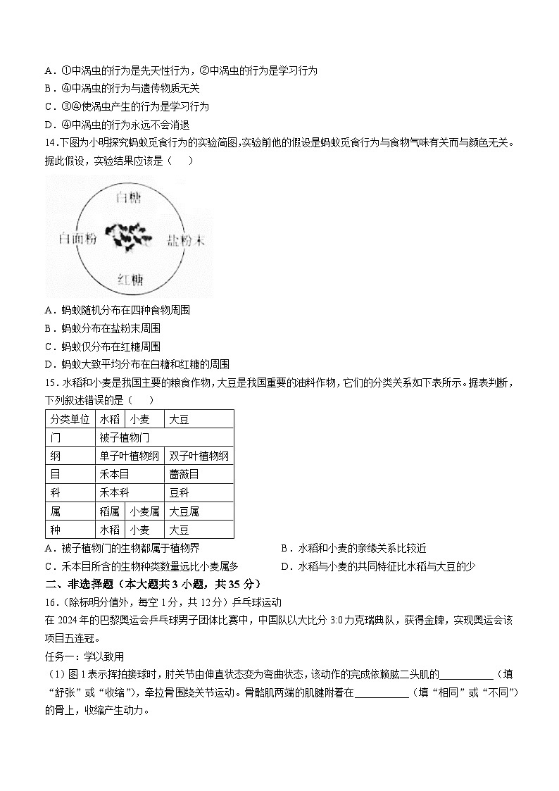 山西省运城市盐湖二中、运城市盐湖三中2024-2025学年八年级上学期期中生物试题(无答案)第3页
