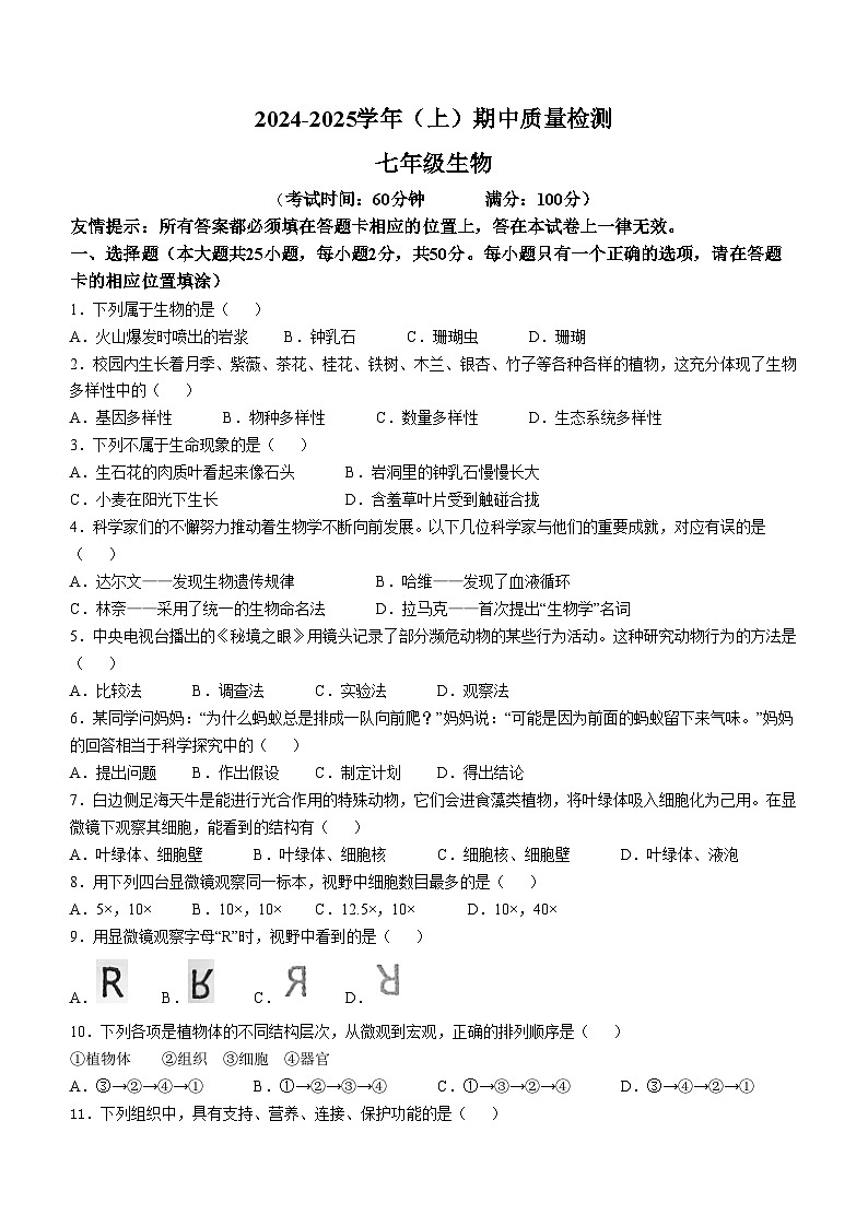福建省南平市光泽县2024-2025学年七年级上学期期中生物学试题第1页