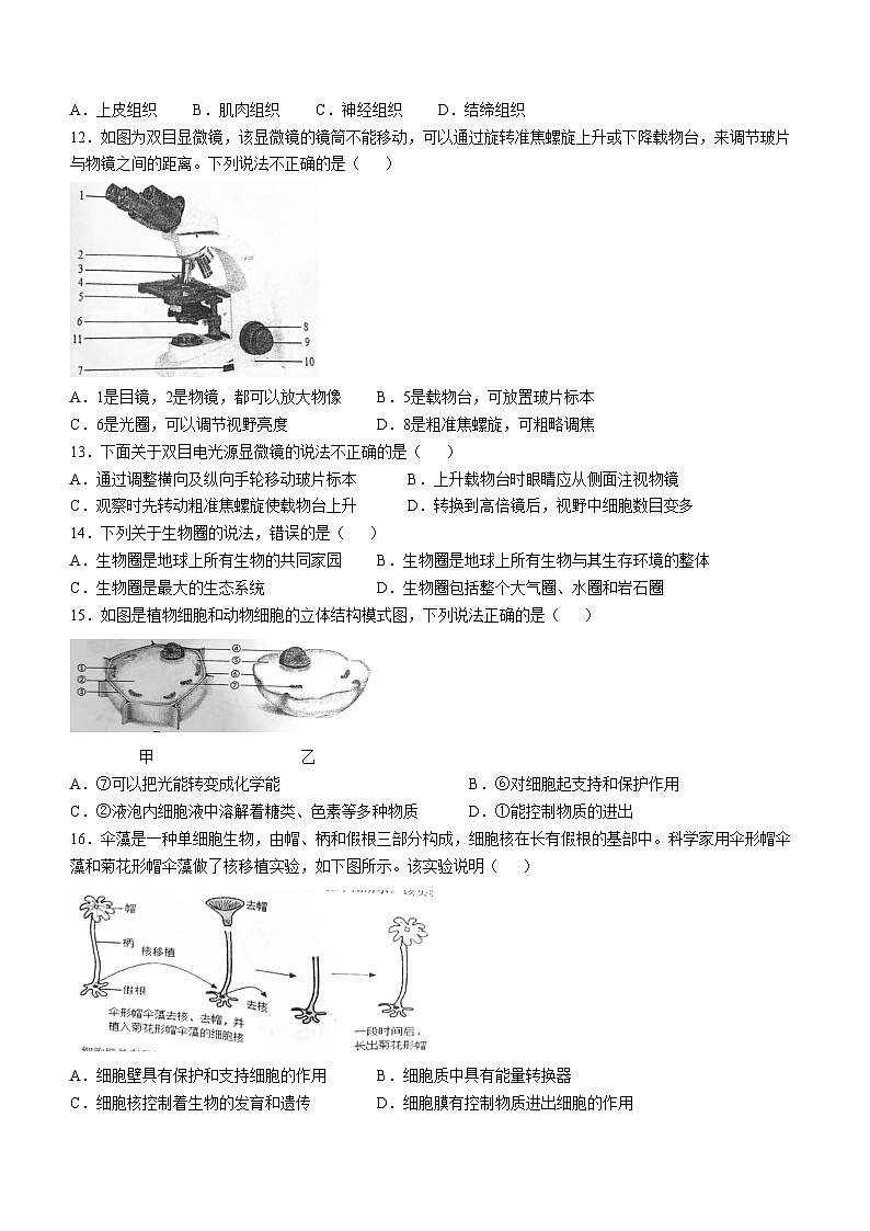 福建省南平市光泽县2024-2025学年七年级上学期期中生物学试题第2页