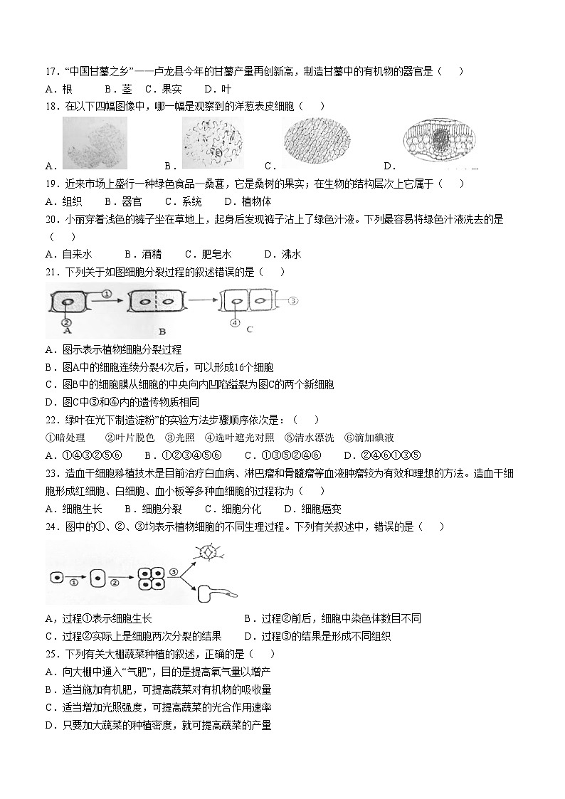 福建省南平市光泽县2024-2025学年七年级上学期期中生物学试题第3页