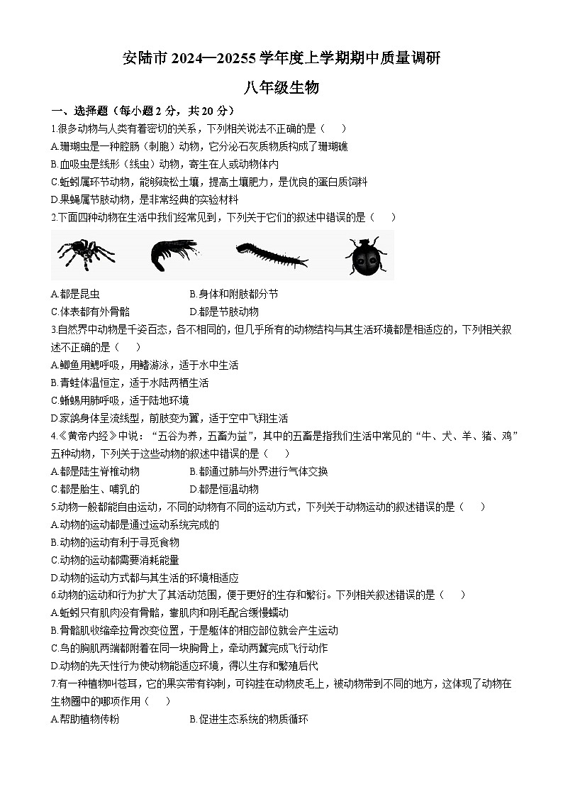 湖北省孝感市安陆市2024-2025学年八年级上学期期中生物学试题01