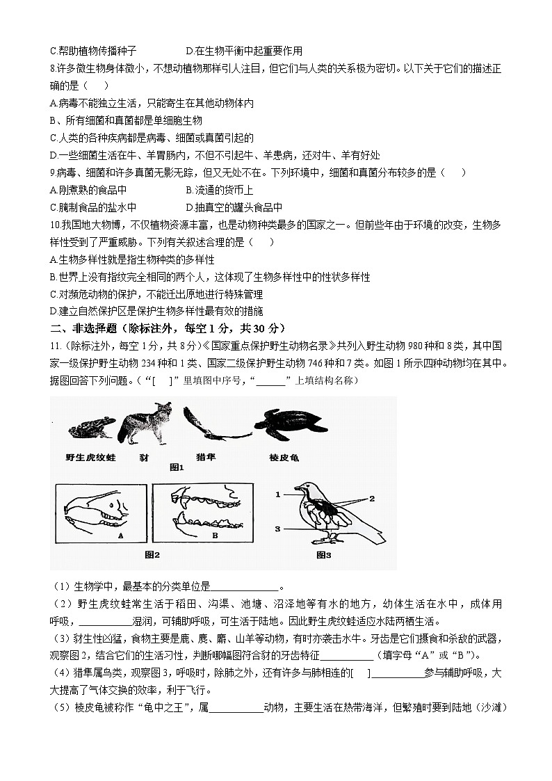 湖北省孝感市安陆市2024-2025学年八年级上学期期中生物学试题02
