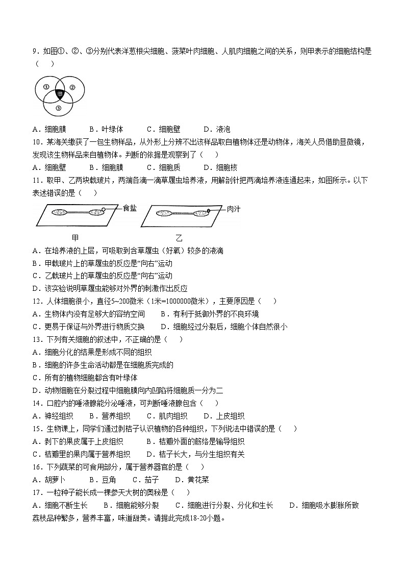 福建省龙岩市新罗区2024-2025学年七年级上学期期中生物学试题第2页