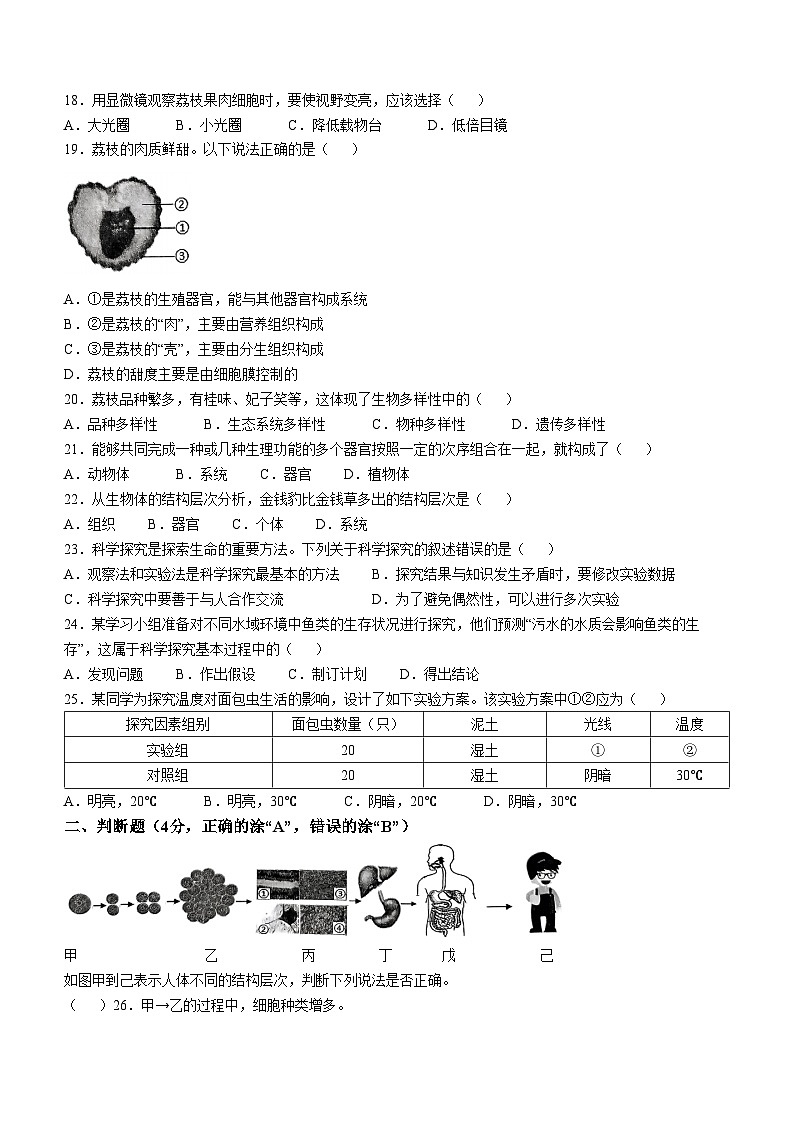 福建省龙岩市新罗区2024-2025学年七年级上学期期中生物学试题第3页