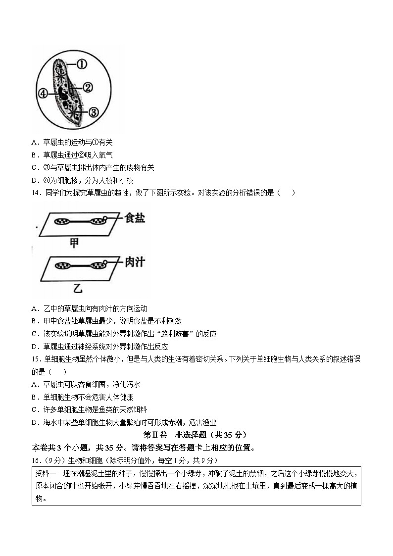 山西省晋中市寿阳县2024-2025学年七年级上学期期中生物学试题(无答案)第3页