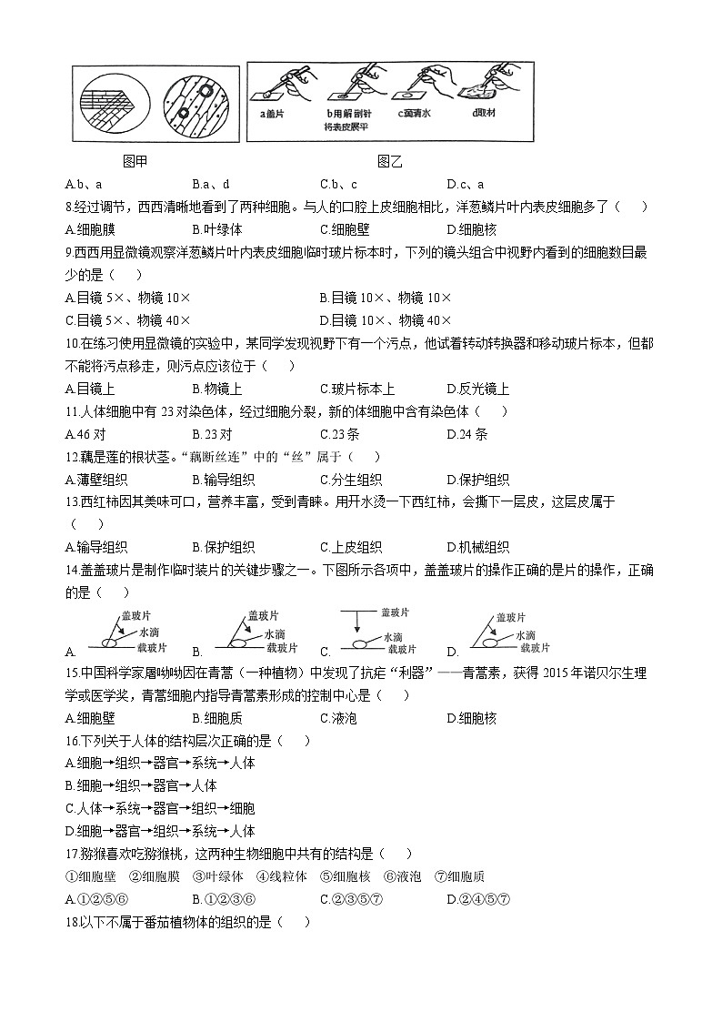 福建省三明市尤溪县2024-2025学年七年级上学期期中生物学试题(无答案)第2页