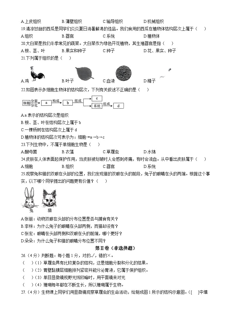 福建省三明市尤溪县2024-2025学年七年级上学期期中生物学试题(无答案)第3页