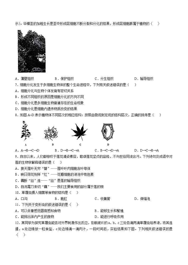 山西省长治市沁县多校联考2024-2025学年七年级上学期期中生物试题第2页