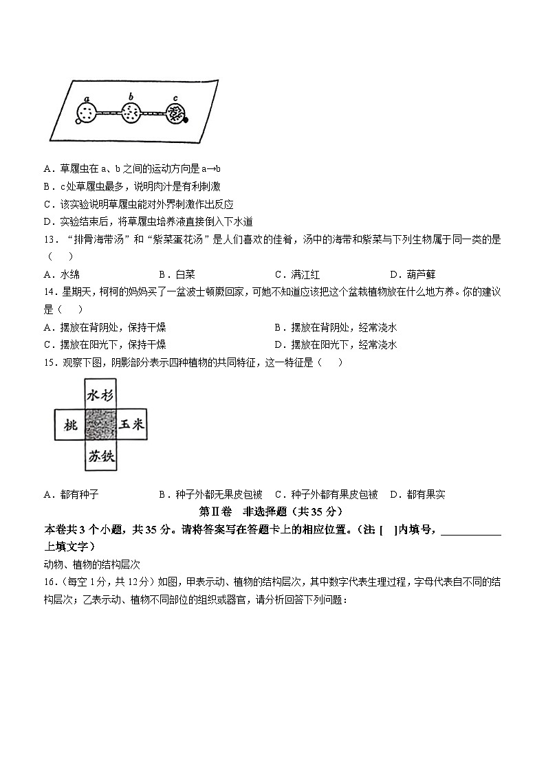 山西省长治市沁县多校联考2024-2025学年七年级上学期期中生物试题第3页