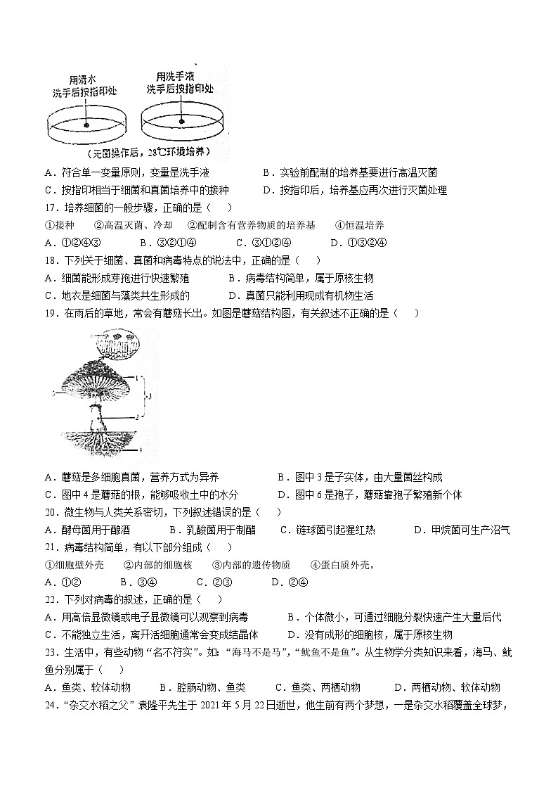 湖南省衡阳市耒阳市2024-2025学年八年级上学期九校期中联考生物试题(无答案)第3页