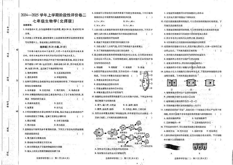 河南省商丘市睢阳区2024-2025学年七年级上学期11月期中生物试题第1页