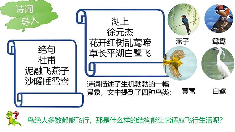 人教版生物七年级上册2.2.2《脊椎动物（鸟和哺乳动物）》教学课件第5页