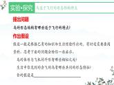 人教版生物七年级上册2.2.2《脊椎动物-鸟和哺乳动物》（课件）