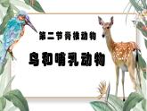 人教版生物七年级上册2.2《脊椎动物-鸟和哺乳动物》课件