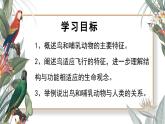 人教版生物七年级上册2.2《脊椎动物-鸟和哺乳动物》课件