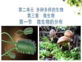 人教版生物七年级上册2.3.1《微生物的分布》课件