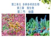 人教版生物七年级上册2.3.2《细菌》（课件）