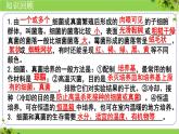 人教版生物七年级上册2.3.2《细菌》（课件）