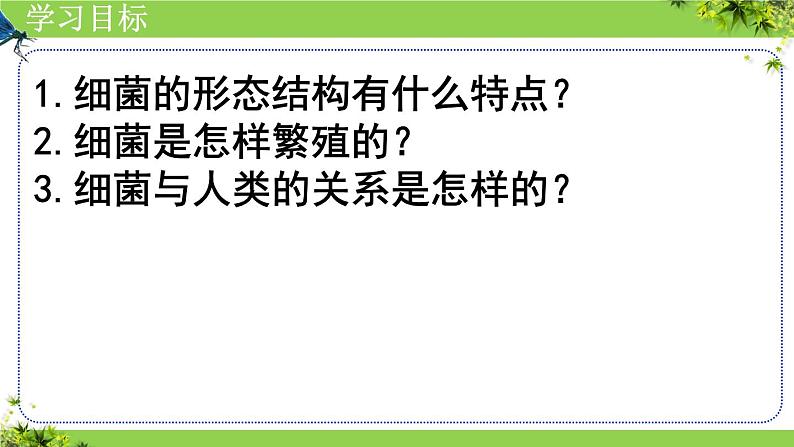 人教版生物七年级上册2.3.2《细菌》（课件）第4页