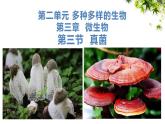 人教版生物七年级上册2.3.3《真菌》教学课件