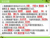 人教版生物七年级上册2.3.3《真菌》教学课件