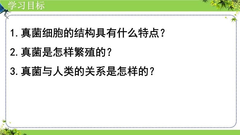 人教版生物七年级上册2.3.3《真菌》教学课件04