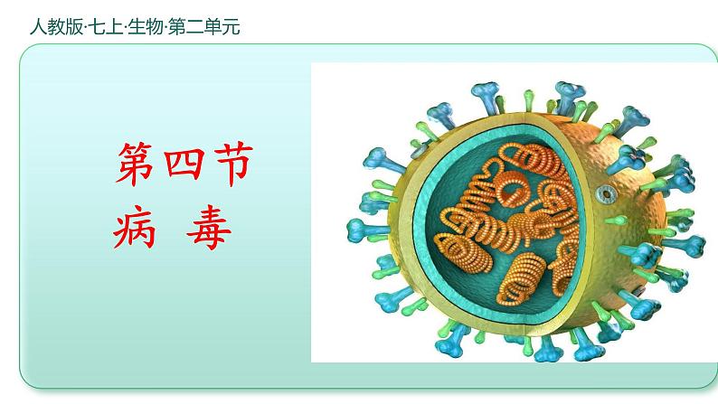 人教版生物七年级上册2.3.4《病毒》课件第1页