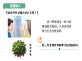 人教版生物七年级上册2.3.4《病毒》课件