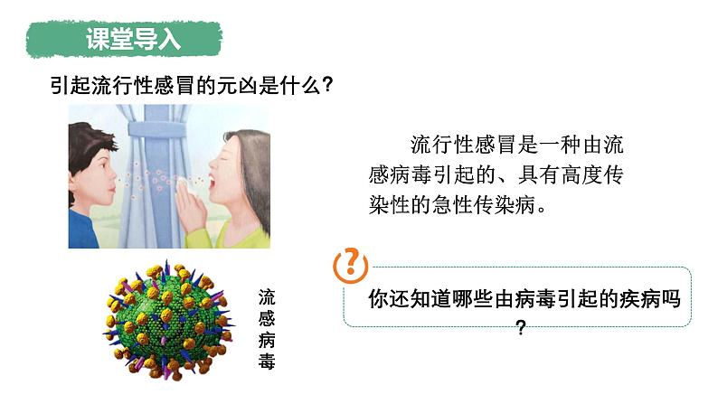 人教版生物七年级上册2.3.4《病毒》课件第3页