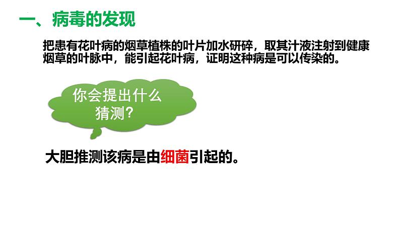 人教版生物七年级上册2.3.4《病毒》课件第5页