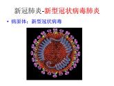人教版生物七年级上册2.3.4《病毒》教学课件