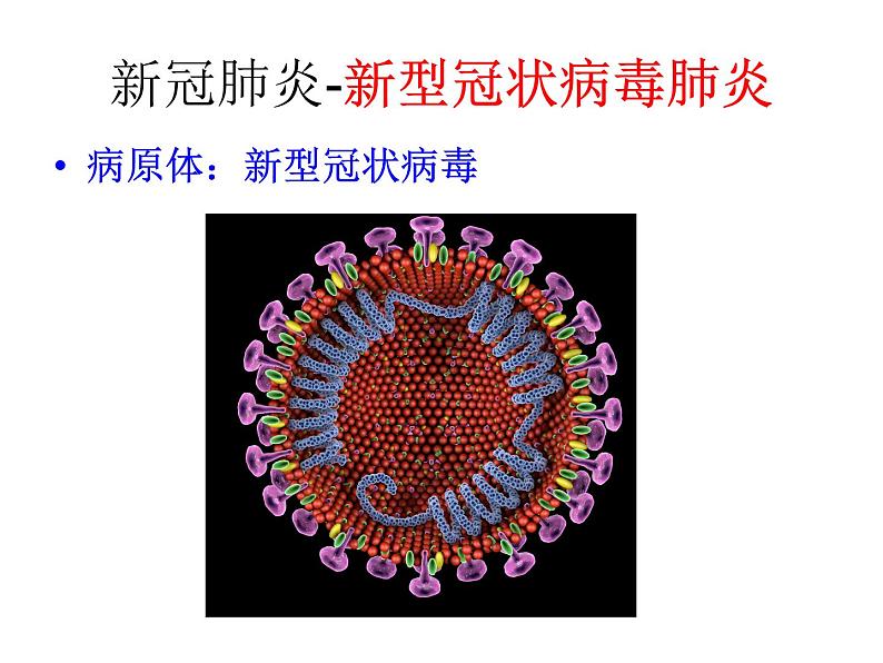 人教版生物七年级上册2.3.4《病毒》教学课件第1页