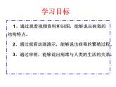人教版生物七年级上册2.3.4《病毒》教学课件