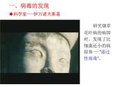 人教版生物七年级上册2.3.4《病毒》教学课件