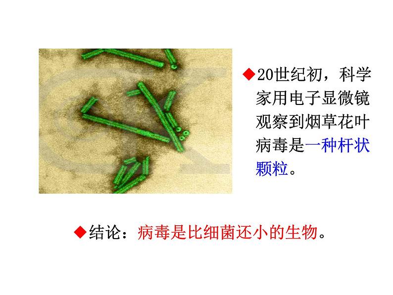 人教版生物七年级上册2.3.4《病毒》教学课件第6页