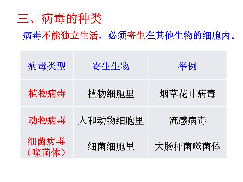 人教版生物七年级上册2.3.4《病毒》教学课件第8页