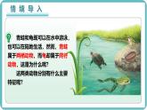 人教版生物七年级上册2 .2.2《两栖动物与爬行动物》课件