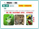 人教版生物七年级上册2 .2.2《两栖动物与爬行动物》课件