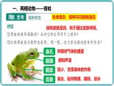 人教版生物七年级上册2 .2.2《两栖动物与爬行动物》课件